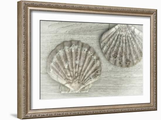 Two King Scallop Shells-Cora Niele-Framed Photographic Print