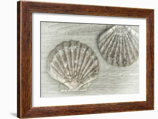 Two King Scallop Shells-Cora Niele-Framed Photographic Print