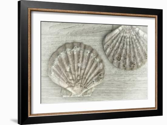 Two King Scallop Shells-Cora Niele-Framed Photographic Print