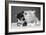 Two Kittens Asleep-null-Framed Photographic Print