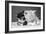 Two Kittens Asleep-null-Framed Photographic Print