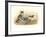 Two Kittens with Doll-null-Framed Art Print