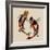 Two Koi-Sharon Turner-Framed Art Print