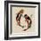 Two Koi-Sharon Turner-Framed Art Print