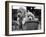 Two Labrador Puppies in a Flowerpot-Henry Grant-Framed Photographic Print