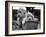 Two Labrador Puppies in a Flowerpot-Henry Grant-Framed Photographic Print