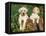 Two Labrador Retriever Puppies, USA-Lynn M. Stone-Framed Premier Image Canvas