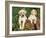 Two Labrador Retriever Puppies, USA-Lynn M. Stone-Framed Photographic Print