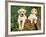 Two Labrador Retriever Puppies, USA-Lynn M. Stone-Framed Photographic Print