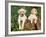 Two Labrador Retriever Puppies, USA-Lynn M. Stone-Framed Photographic Print