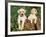 Two Labrador Retriever Puppies, USA-Lynn M. Stone-Framed Photographic Print