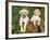 Two Labrador Retriever Puppies, USA-Lynn M. Stone-Framed Photographic Print