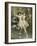 Two Ladies on a Swing, Illustration from "Les Sylphides"-Charles Bargue-Framed Giclee Print