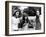 Two-Lane Blacktop, Dennis Wilson, Laurie Bird, James Taylor, 1971-null-Framed Premium Photographic Print