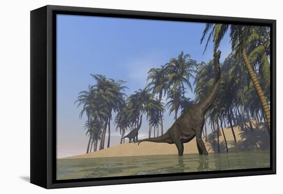 Two Large Brachiosaurus Grazing Along a Bay-null-Framed Stretched Canvas