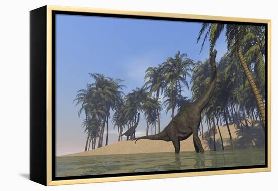 Two Large Brachiosaurus Grazing Along a Bay-null-Framed Stretched Canvas