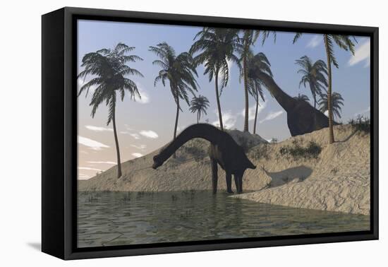 Two Large Brachiosaurus Grazing Along the Water's Edge-null-Framed Stretched Canvas