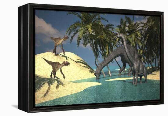 Two Large Brachiosaurus Grazing in Shallow Waters as Two Utahraptors Approach-null-Framed Stretched Canvas