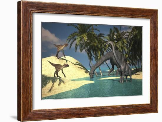 Two Large Brachiosaurus Grazing in Shallow Waters as Two Utahraptors Approach-null-Framed Art Print