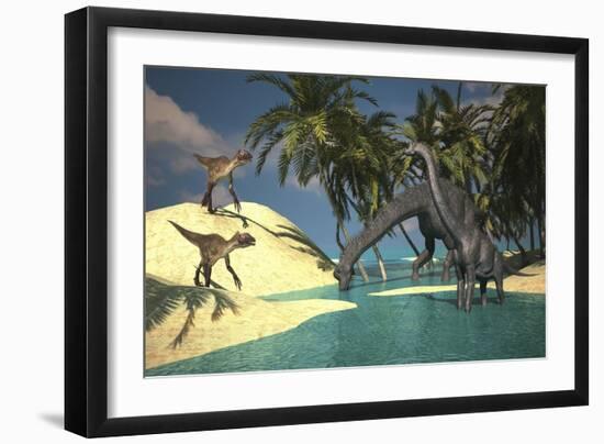 Two Large Brachiosaurus Grazing in Shallow Waters as Two Utahraptors Approach-null-Framed Art Print