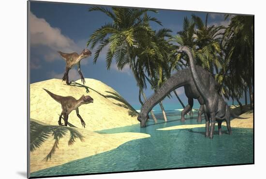 Two Large Brachiosaurus Grazing in Shallow Waters as Two Utahraptors Approach-null-Mounted Art Print