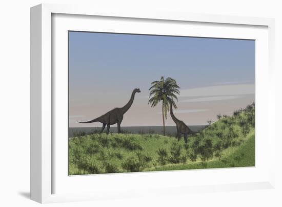 Two Large Brachiosaurus Grazing on a Tall Tree-null-Framed Art Print