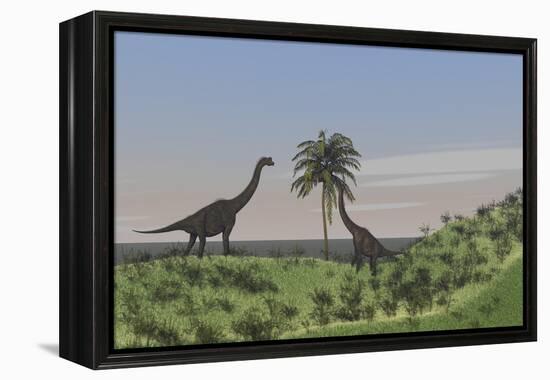 Two Large Brachiosaurus Grazing on a Tall Tree-null-Framed Stretched Canvas