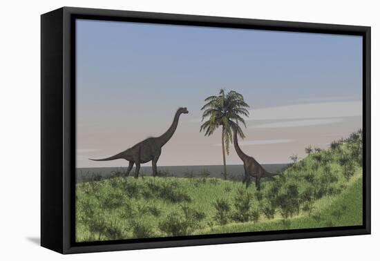 Two Large Brachiosaurus Grazing on a Tall Tree-null-Framed Stretched Canvas