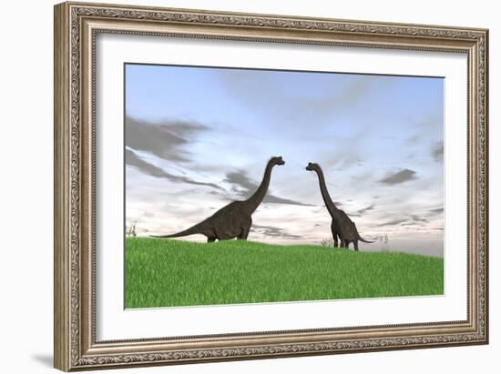 Two Large Brachiosaurus in a Grassy Field-null-Framed Art Print