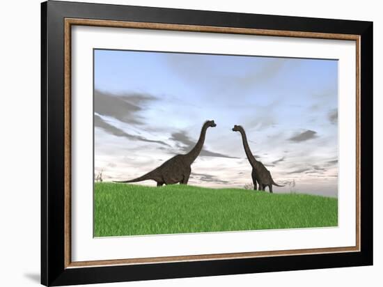 Two Large Brachiosaurus in a Grassy Field-null-Framed Art Print