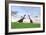 Two Large Brachiosaurus in a Grassy Field-null-Framed Art Print