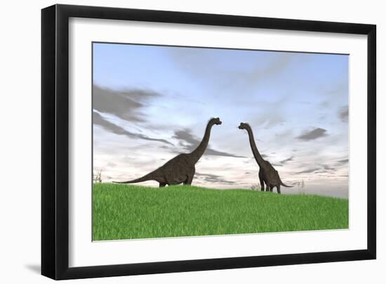 Two Large Brachiosaurus in a Grassy Field-null-Framed Art Print