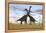 Two Large Brachiosaurus in Prehistoric Grasslands-null-Framed Stretched Canvas