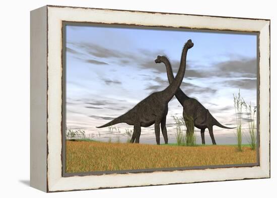 Two Large Brachiosaurus in Prehistoric Grasslands-null-Framed Stretched Canvas