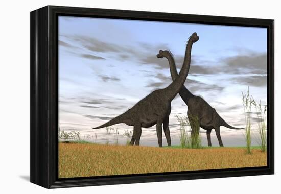 Two Large Brachiosaurus in Prehistoric Grasslands-null-Framed Stretched Canvas