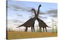 Stretched Canvas Print