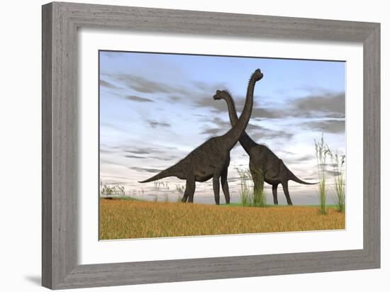 Two Large Brachiosaurus in Prehistoric Grasslands-null-Framed Art Print