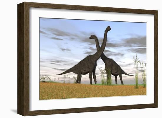 Two Large Brachiosaurus in Prehistoric Grasslands-null-Framed Art Print