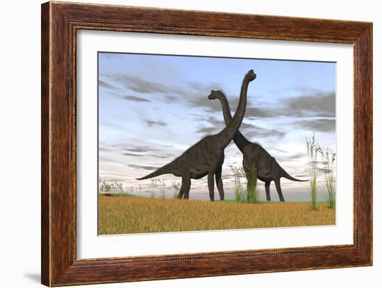 Two Large Brachiosaurus in Prehistoric Grasslands-null-Framed Art Print