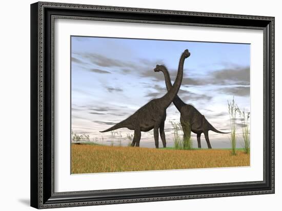 Two Large Brachiosaurus in Prehistoric Grasslands-null-Framed Art Print