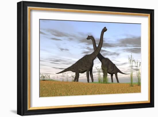 Two Large Brachiosaurus in Prehistoric Grasslands-null-Framed Art Print