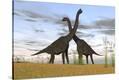 Stretched Canvas Print