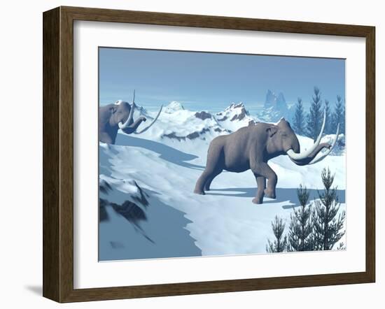 Two Large Mammoths Walking Slowly on the Snowy Mountain-null-Framed Art Print