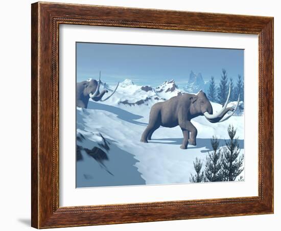 Two Large Mammoths Walking Slowly on the Snowy Mountain-null-Framed Art Print