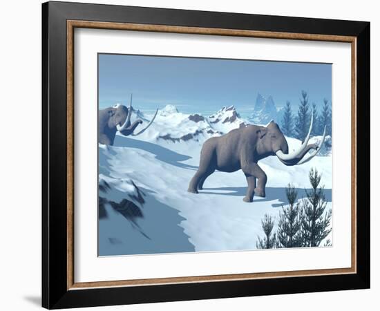 Two Large Mammoths Walking Slowly on the Snowy Mountain-null-Framed Art Print