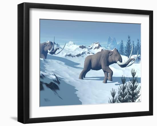 Two Large Mammoths Walking Slowly on the Snowy Mountain-null-Framed Art Print