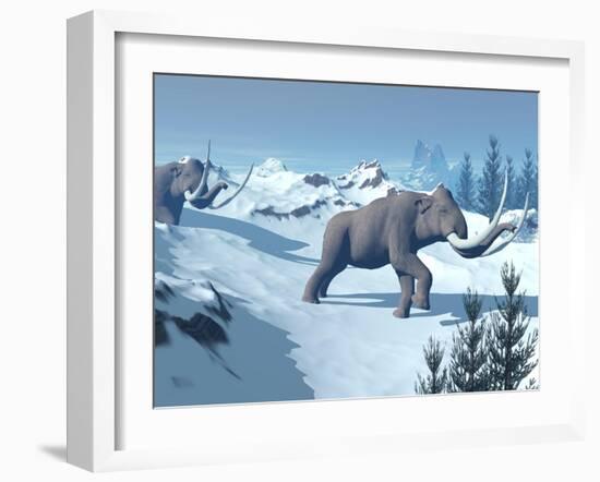 Two Large Mammoths Walking Slowly on the Snowy Mountain-null-Framed Art Print