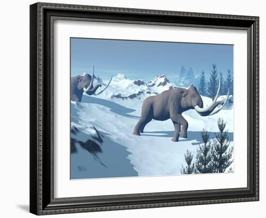 Two Large Mammoths Walking Slowly on the Snowy Mountain-null-Framed Art Print