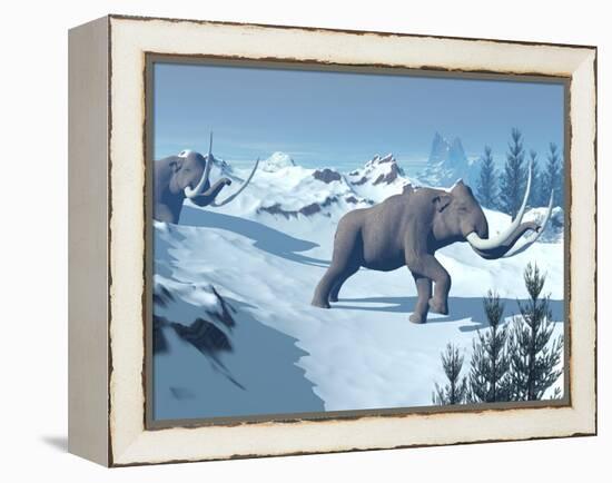 Two Large Mammoths Walking Slowly on the Snowy Mountain-null-Framed Stretched Canvas