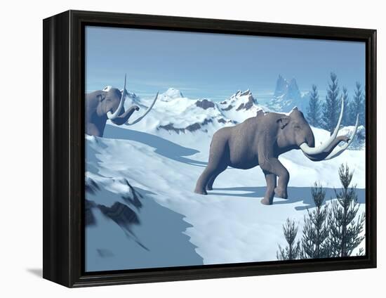 Two Large Mammoths Walking Slowly on the Snowy Mountain-null-Framed Stretched Canvas